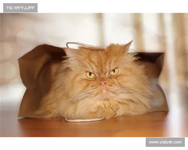 新的迷人小猫攻击涉及POWERSTAR后门