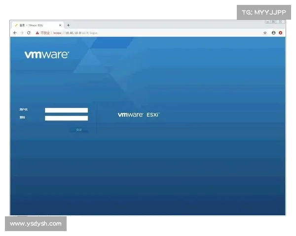 自托管 VMware Tanzu Mission Control 上线