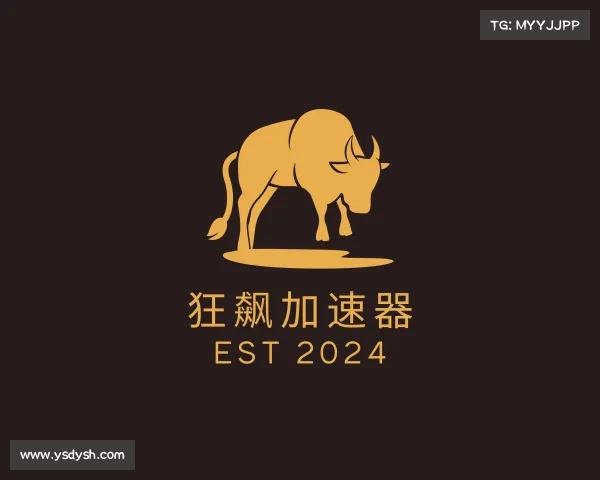 解读狂飙加速器